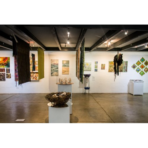 Works by Sarojani Naidoo, Corina Lemmer, Hermine Coleman and Dana Biddle