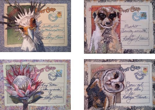 Postcards: Protea, Barn Owl, Meerkat and Secretary Bird