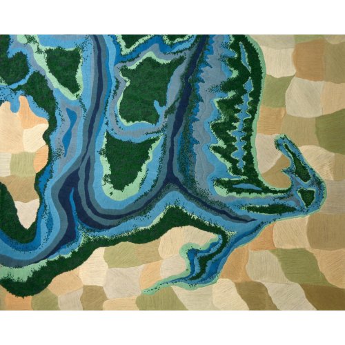 Mangroves from the Sky (2020)